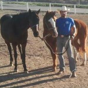 Adrenaline Man aka Andre Relentless Alexsen with my rescue horses Victory and Wildside love to be with my family and recharge between trainings Christian Cowboy and Patriot first !God Bless America and all our Troops !