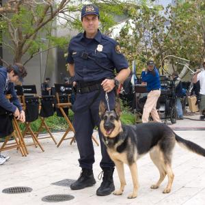 Get Smart Secret Service K9 Bomb Squad Cop Animal Handler Trainer