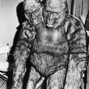 Still of Rick Baker in The Thing with Two Heads 1972