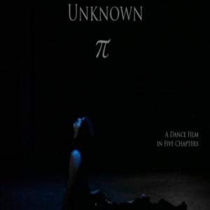 Unknown Pi Poster 2013