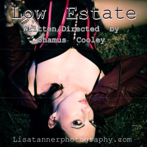 Poster for 2013 film Low Estate starring RuthAnn Thompson Directed by Shamus Cooley