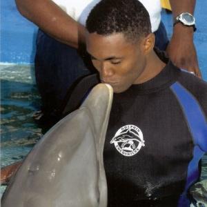 A dolphin named 'Chippie' at Dolphin Encounters - Bahamas.