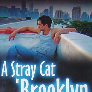 A Stray Cat In Brooklyn 2005