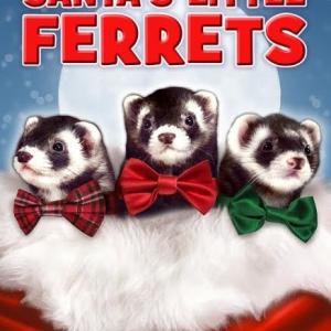 Krusty The Ferret Booger The Ferret and Snot The Ferret in Santas Little Ferrets 2014