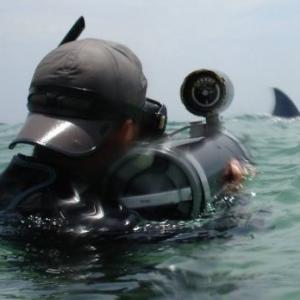 Documentary shoot Sharks