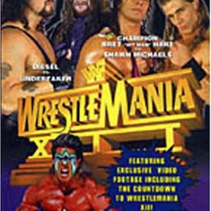 Mark Calaway Bret Hart Shawn Michaels Kevin Nash and Jim Hellwig in WrestleMania XII 1996