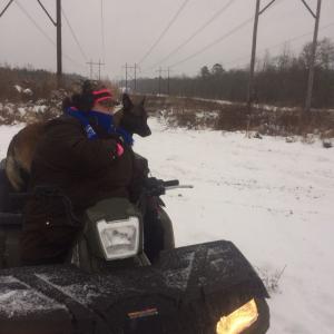 Myself, my Belgian mallioas , the farm, friends, 4 wheelers, Rangers , rope and a golf cart roof; yes that happened lol. End of 2013 or beginning of 2014