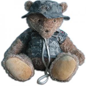 The Mascot for my book teddy Bear Wars 20 years in the Zones