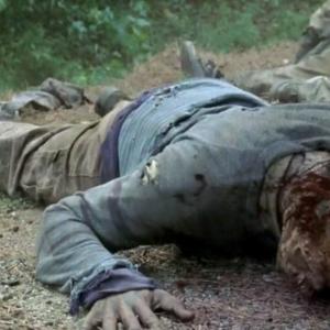 Walking Dead Season 5 Stunt Performer