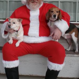 Played Santa at a Chantilly VA Petsmart to raise money for a dog rescue group This pic actually got me Cast as the SantaTowTruck Driver in South For The Winter Filmed of course in Atlanta