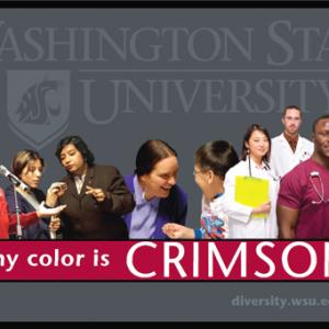 Print Ad for Washington State University