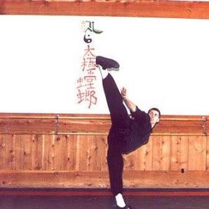 Michael Dawson, while performing a Northern Shaolin style kung-fu form in 1986.