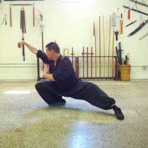 Michael Dawson demonstrates Moi I Martial Art or Martial Skill a kungfu form from the Northern Shaolin Monastery system July 2014