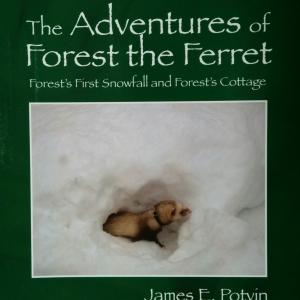 The Adventures of Forest the Ferret by author James E. Potvin