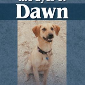Through the Eyes of Dawn by author James E Potvin