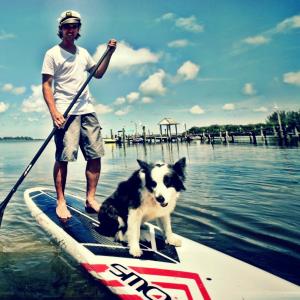 Toy trained his two dogs to paddle board with him off Gasparilla Island