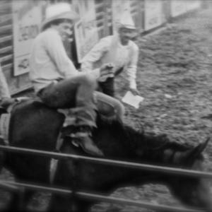 That's me riding bareback bronc in the rodeo.