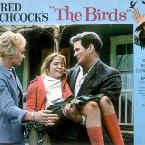 The Birds Lobby Card 1963 Universal