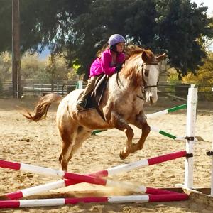 Laney Malone  Horse Jumping