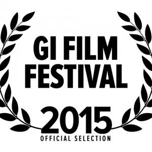 GI FILM FESTIVAL, Washington DC (2015)