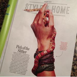 Hand Model- Boston Magazine