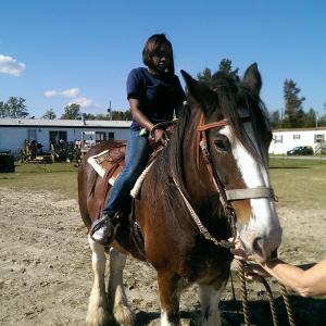 Riding lessons on  Dolly Clydesdale Horse