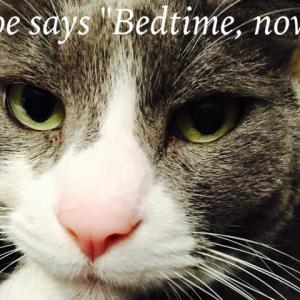 Zoe says Bedtime now by Julie McCulloch Burton