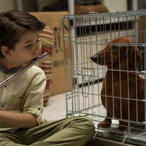 Weiner Dog Keaton played the lead roll of Remi in Todd Solondzs newest movie Keaton learned Clair De Lune by Debussy on flute for this scene in less than one week He is the only lead actor with TWO movies in this years Sundance Film Festival