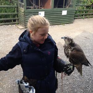 This is me with a Falcon. My parents own a bird of prey park. I have been handling and flying birds of prey from an early age.
