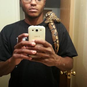 one of my snakes herman