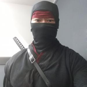 As a Ninja from Netflixs DAREDEVIL