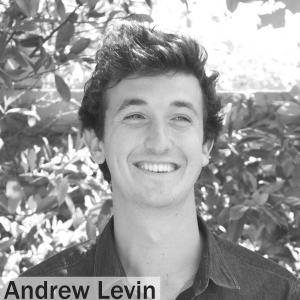Andrew Levin