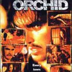Night Orchid Poster