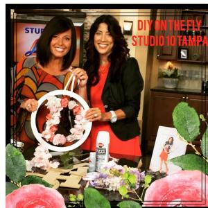 Julee Ireland on Studio 10 Tampa releasing of DIY on the FLY under $25 book series.