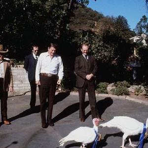 Ronald Reagan walking behind turkeys