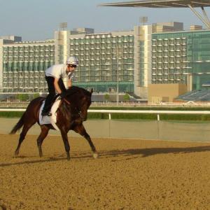 Meydan Race Course Dubai