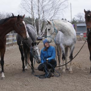 Lindsey with her Thoroughbreds for the 2016 Thoroughbred Makeover and her 2015 winner.